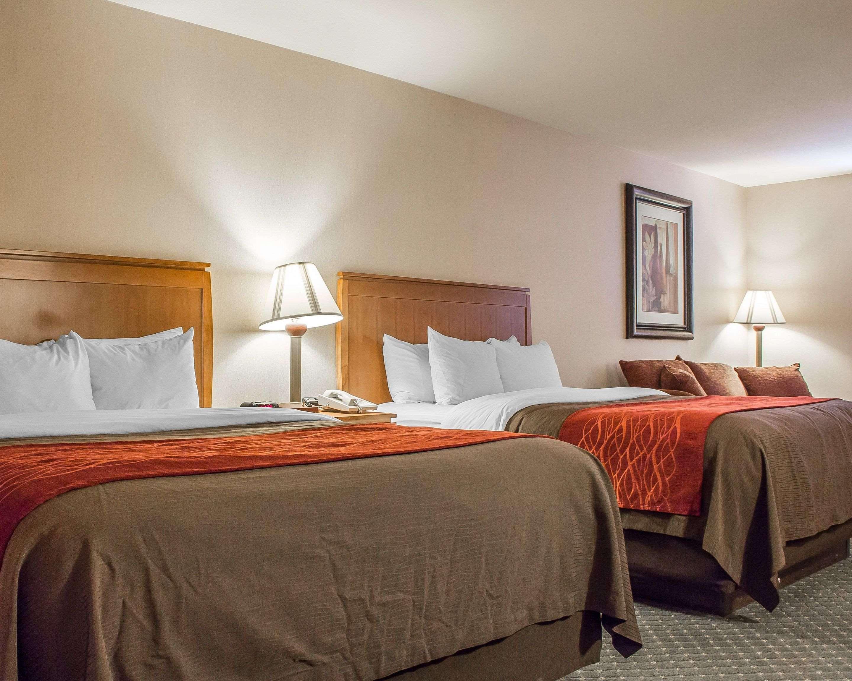 Comfort Inn And Suites Thatcher Værelse billede
